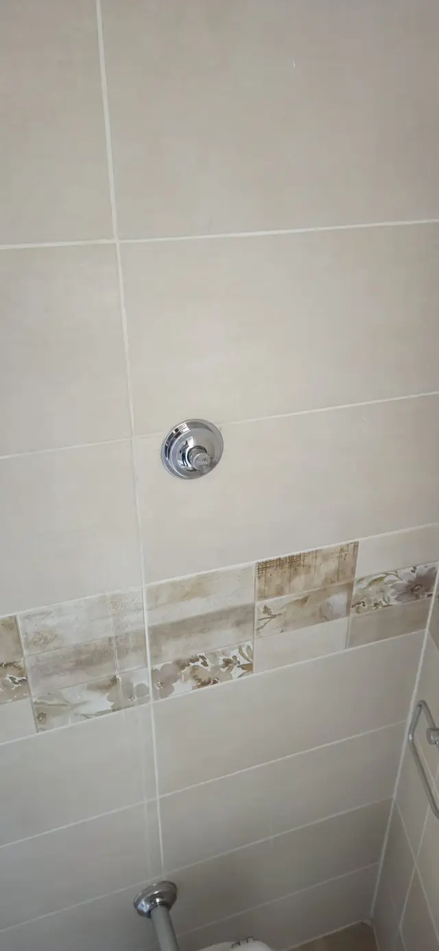 Faianță cu decor montată în baie